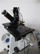 掃描離子電導顯微鏡SICM