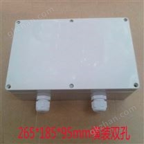 橫裝雙孔監控球機電源防水盒 臨沂防水盒廠家