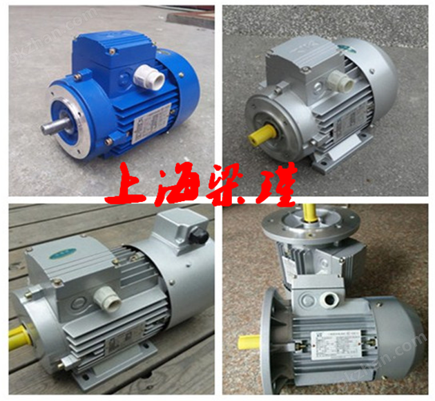 0.55KW-清華紫光電機